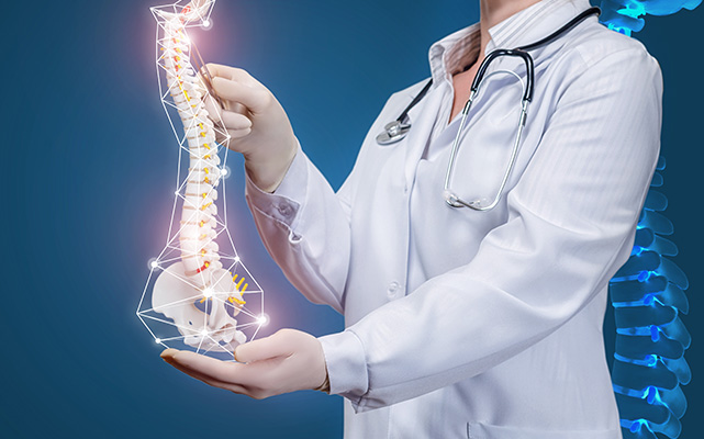 Image of a doctor with a model spine